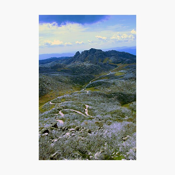 Artikelvorschau, Mt Buffalo after the fire - Australia entworfen und verkauft von Rick Box.