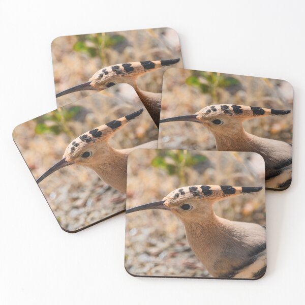 Item preview, Hoopoe head detail designed and sold by XaviFotografia.