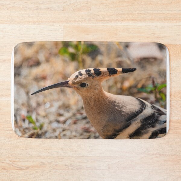 Item preview, Hoopoe head detail designed and sold by XaviFotografia.