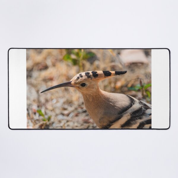 Item preview, Hoopoe head detail designed and sold by XaviFotografia.