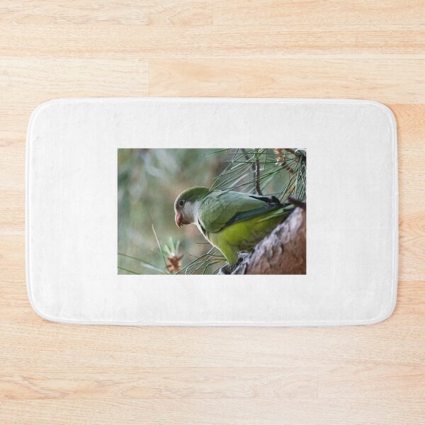 Item preview, Parrot designed and sold by XaviFotografia.
