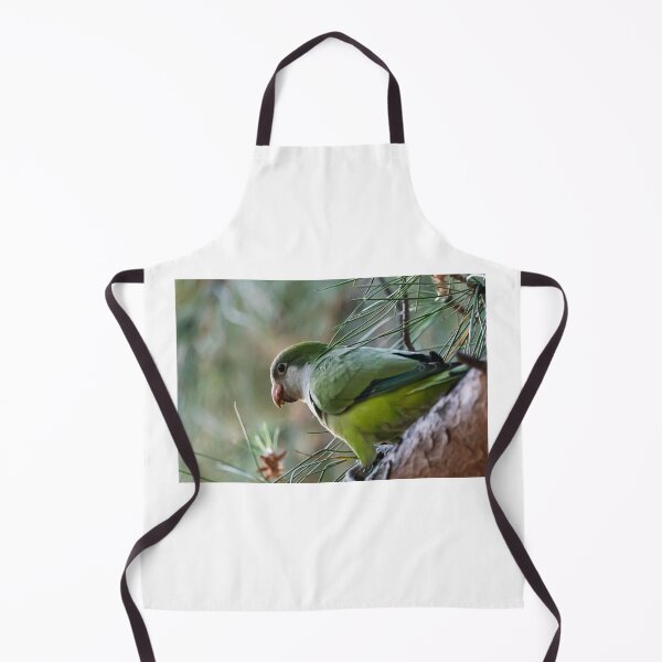 Item preview, Parrot designed and sold by XaviFotografia.