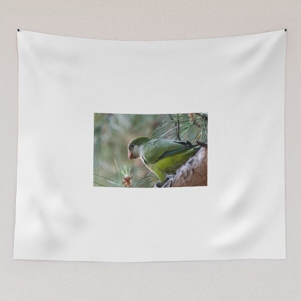 Item preview, Parrot designed and sold by XaviFotografia.