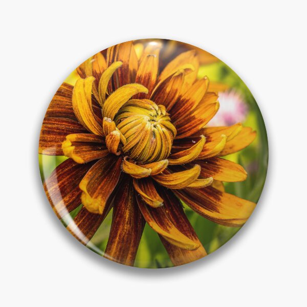 Item preview, Orange Chrysanthemum Mid-Bloom Macro Photography designed and sold by Rabee Khalil Photography.