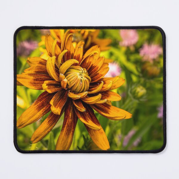 Item preview, Orange Chrysanthemum Mid-Bloom Macro Photography designed and sold by Rabee Khalil Photography.