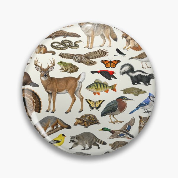 Item preview, Animals of Ohio Retro Style Identification Chart designed and sold by kakarikihill.