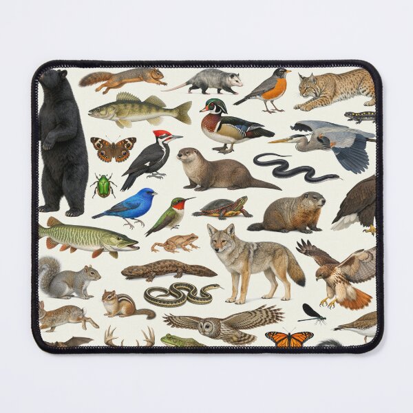 Item preview, Animals of Ohio Retro Style Identification Chart designed and sold by kakarikihill.