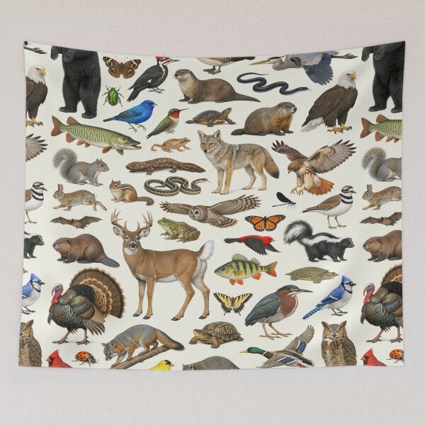 Item preview, Animals of Ohio Retro Style Identification Chart designed and sold by kakarikihill.