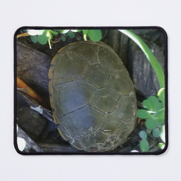 Item preview, Turtle Among Greenery designed and sold by CreationLens.