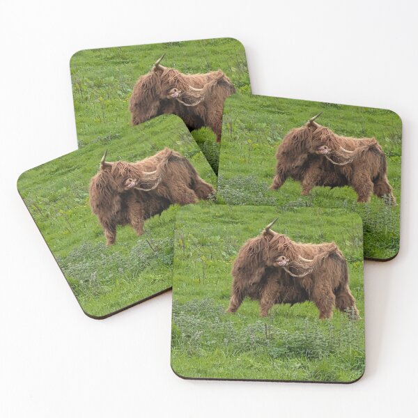 Item preview, Highland cow  designed and sold by Mrssellars13.