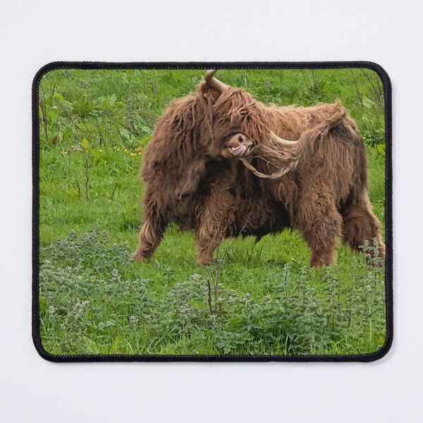 Item preview, Highland cow designed and sold by Mrssellars13.