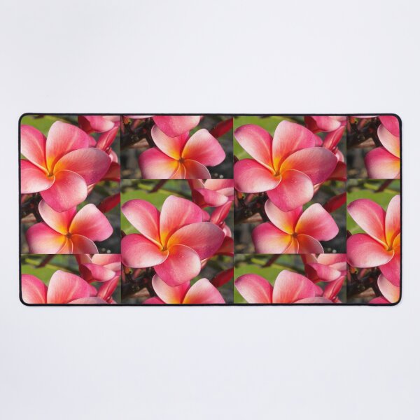 Item preview, Pink plumeria #9, Big Island, Hawai'i designed and sold by JDY Studio Designs.