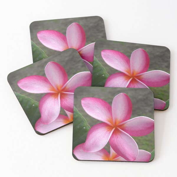 Item preview, Pink plumeria #8, Big Island, Hawai'i designed and sold by JDY Studio Designs.