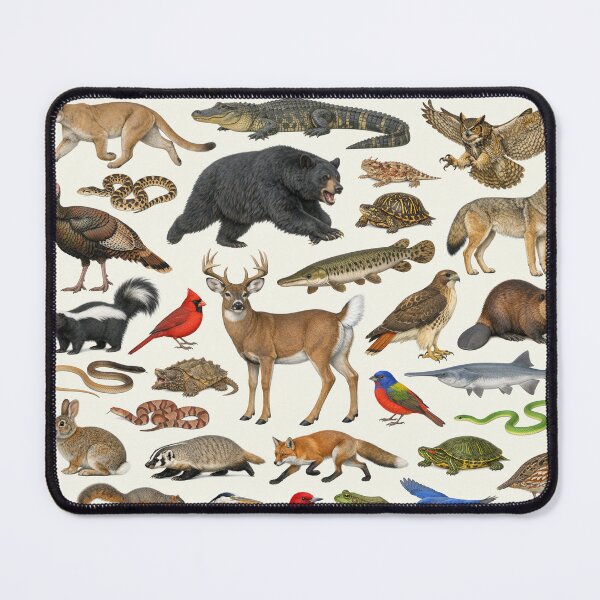 Item preview, Animals of Oklahoma Retro Style Identification Chart designed and sold by kakarikihill.