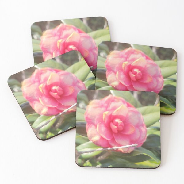 Item preview, The way the sunlight hits the flora designed and sold by SunnSkullDream.