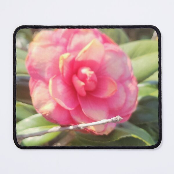 Item preview, The way the sunlight hits the flora designed and sold by SunnSkullDream.