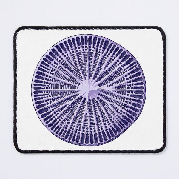 Item preview, Indigo Diatom Radial Microscopy Science Print designed and sold by Bio Tech Art.