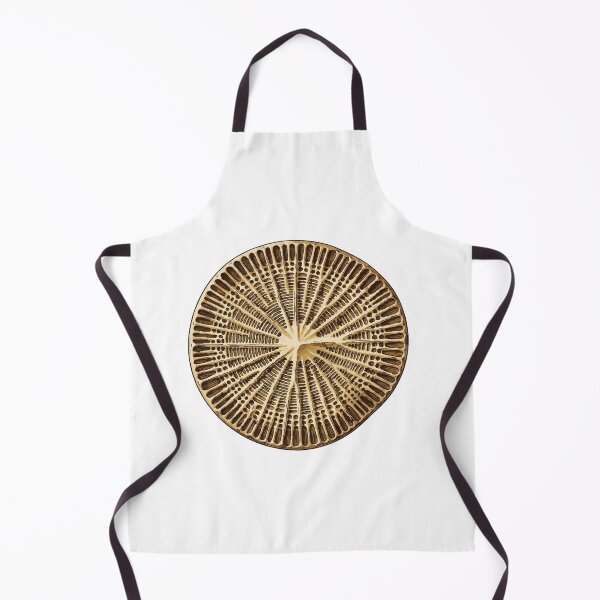 Item preview, Indigo Diatom Radial Microscopy Science Print designed and sold by Bio Tech Art.