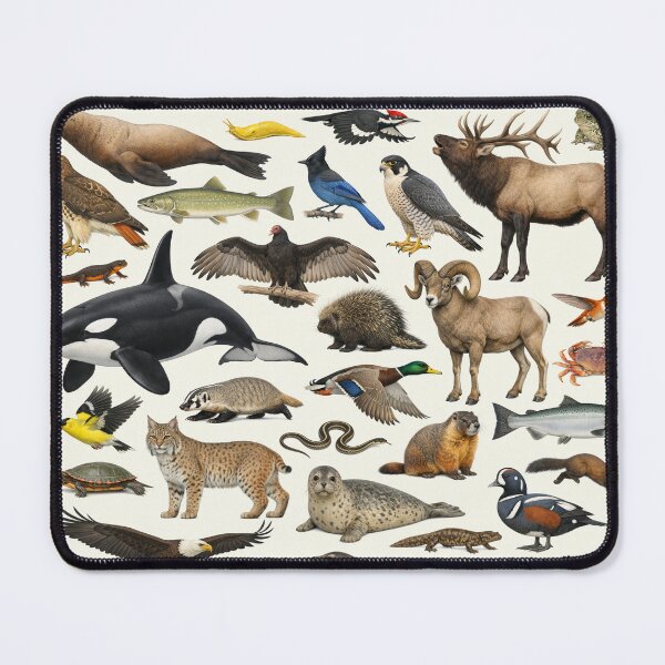 Item preview, Animals of Oregon Retro Style Identification Chart designed and sold by kakarikihill.