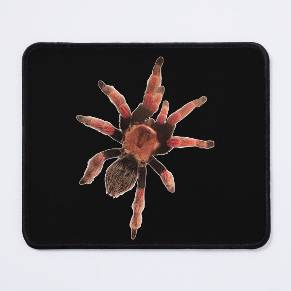 Item preview, Mexican Fire Leg Tarantula designed and sold by ArtByKevG.