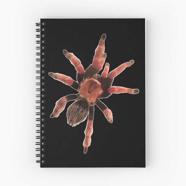 Item preview, Mexican Fire Leg Tarantula designed and sold by ArtByKevG.