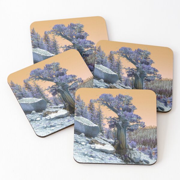 Item preview, Lone Cedar on Mountain Top designed and sold by Robert Ball.