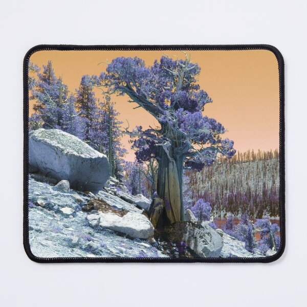 Item preview, Lone Cedar on Mountain Top designed and sold by Robert Ball.