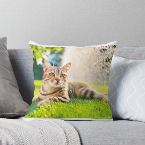 Item preview, Tabby Cat Relaxing Summer Sprinkler Splash designed and sold by OsakaYumeWorks.