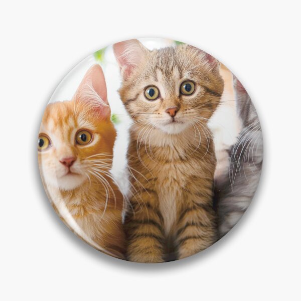 Item preview, Three Cute Kittens Sitting Friends Portrait designed and sold by OsakaYumeWorks.