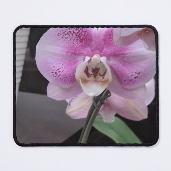Item preview, purple orchid designed and sold by SoCalflowers.