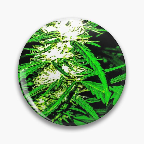 Item preview, Big bud designed and sold by DoPeiNk!.