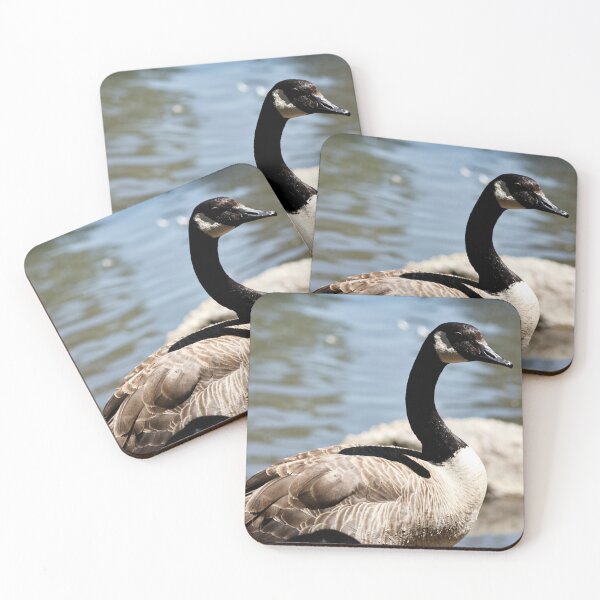 Item preview, Canada Goose designed and sold by WilesNailsPower.