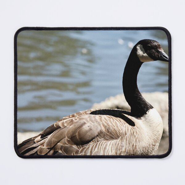 Item preview, Canada Goose designed and sold by WilesNailsPower.