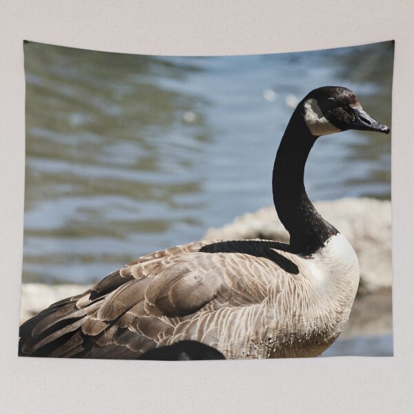 Item preview, Canada Goose designed and sold by WilesNailsPower.