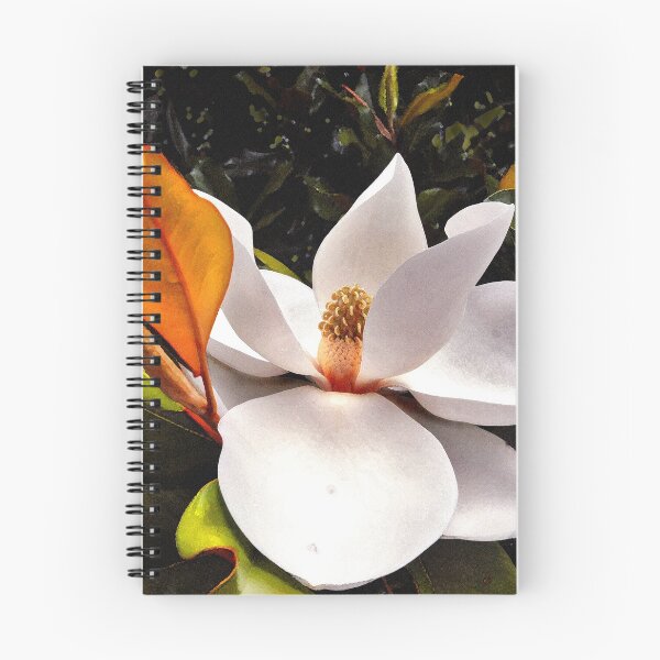 Aperçu de l'œuvre "Magnolia Bloom" créée et vendue par Jeff McJunkin.