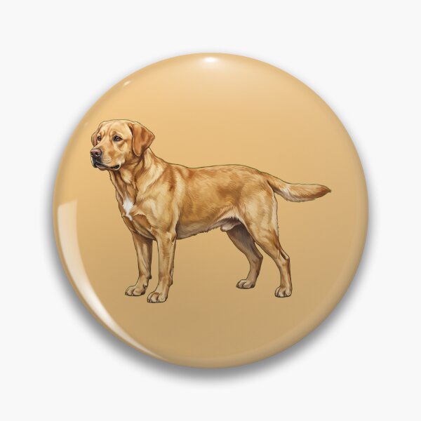 Item preview, Cute Hand-Painted Labrador Retreiver Illustration designed and sold by SYCESTORE.