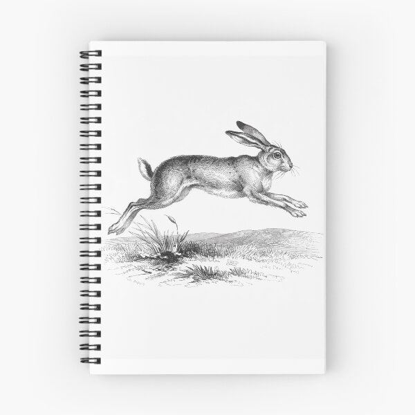 Item preview, Leaping Hare designed and sold by Eva-Ste-Design.