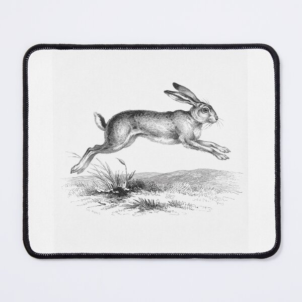 Item preview, Leaping Hare designed and sold by Eva-Ste-Design.
