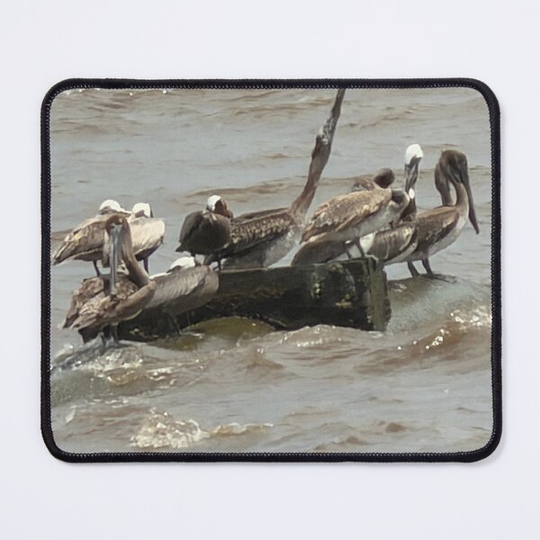 Item preview, Coastal Grace: Brown Pelicans by the Shore. designed and sold by Pearls1.