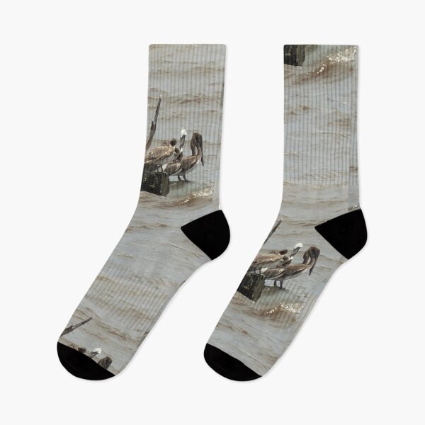 Item preview, Coastal Grace: Brown Pelicans by the Shore. designed and sold by Pearls1.