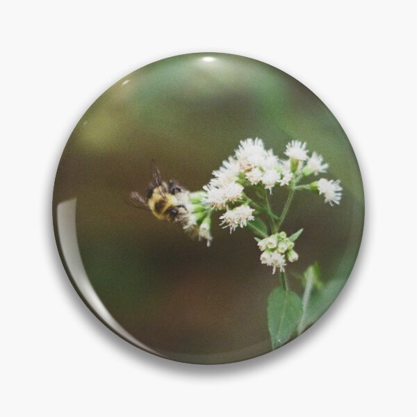 Item preview, Bee! designed and sold by WiscoSticks.