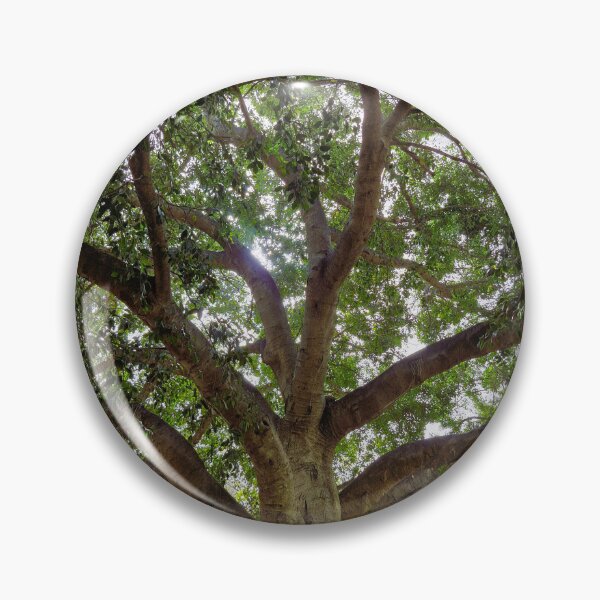 Item preview, Ficus designed and sold by Lunar-Dragon.