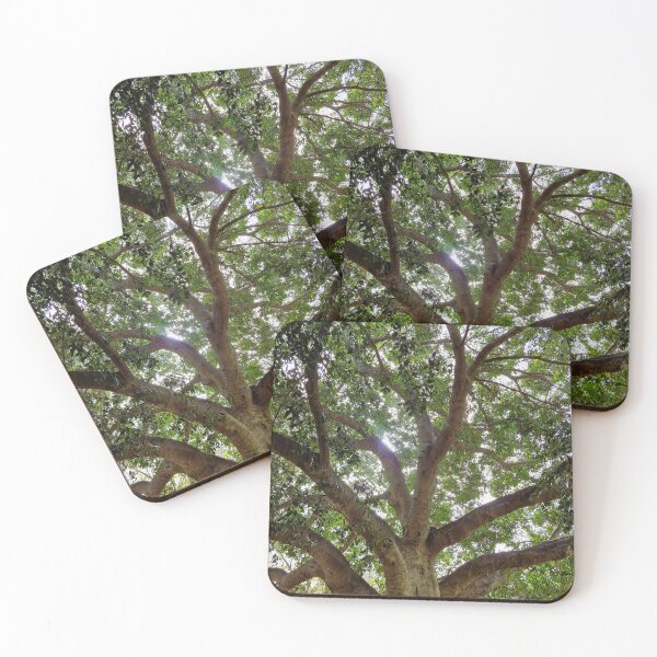 Item preview, Ficus designed and sold by Lunar-Dragon.