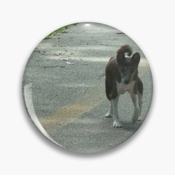 Item preview, Loyal Companion: The Basenji as a Family Pet. designed and sold by Pearls1.
