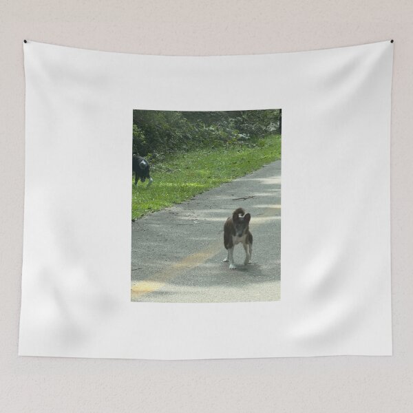 Item preview, Loyal Companion: The Basenji as a Family Pet. designed and sold by Pearls1.