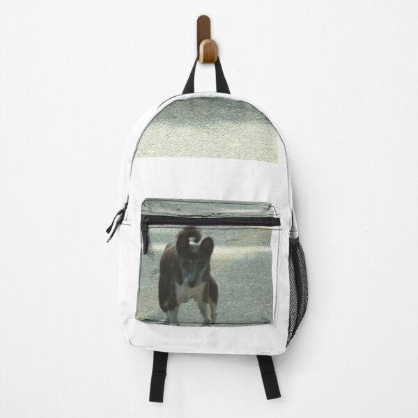 Item preview, Loyal Companion: The Basenji as a Family Pet. designed and sold by Pearls1.