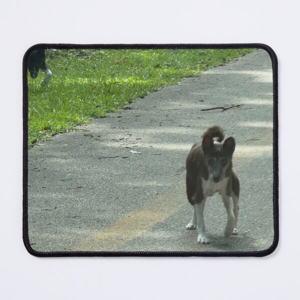 Item preview, Loyal Companion: The Basenji as a Family Pet. designed and sold by Pearls1.
