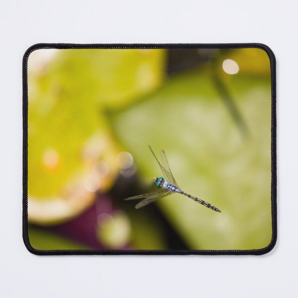 Item preview, Photograph of a Dragonfly designed and sold by Adu6th.