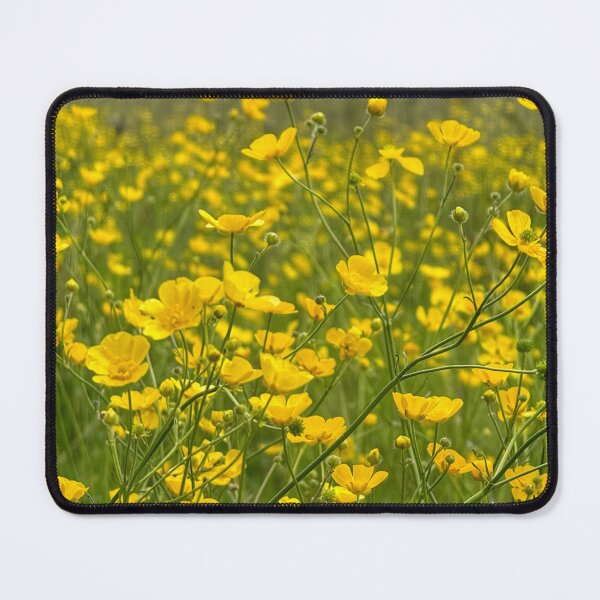 Item preview, Buttercup Meadow designed and sold by WildHorizonArt.