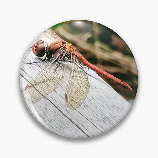 Item preview, Dragonfly  designed and sold by DuffysCreations.